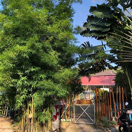 판타이체낭 Shaka Garden House Langkawi 아파트 외부 사진